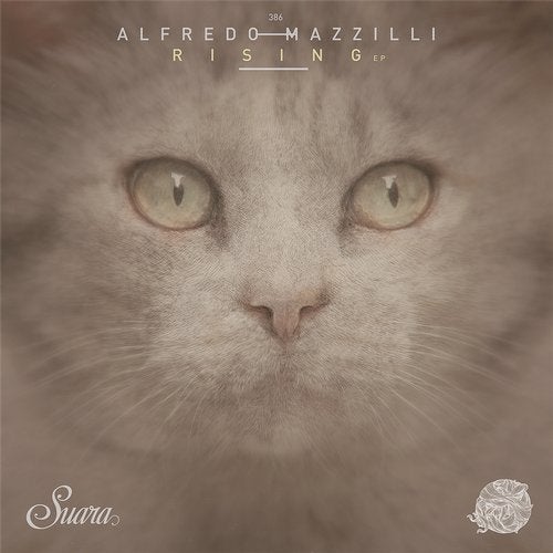 Alfredo Mazzilli - Neutron (Original Mix)