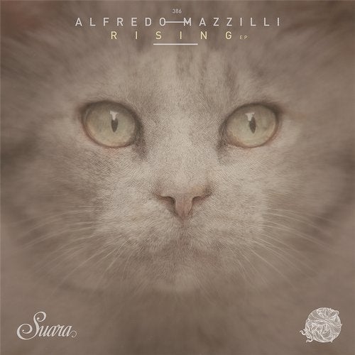 Alfredo Mazzilli - Rising (Original Mix)