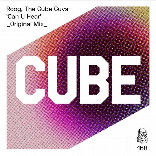 The Cube Guys, Roog - Can U Hear (Original Mix)