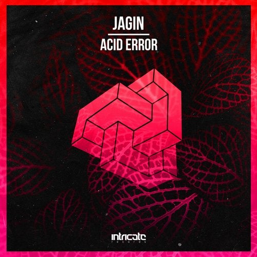 Jagin - Acid Error (Original Mix)