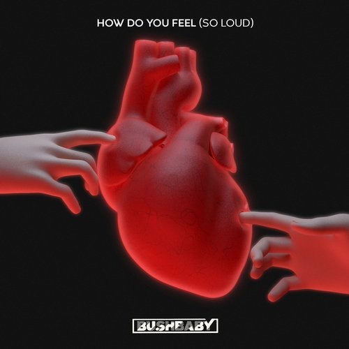 Bushbaby - How Do You Feel (So Loud) (Original Mix)