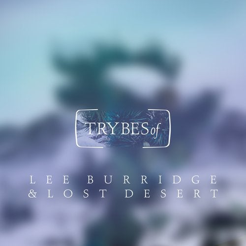 Lee Burridge, Lost Desert - Forget (Original Mix)