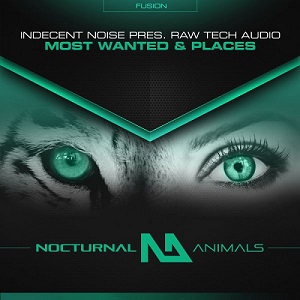 Indecent Noise Pres. Raw Tech Audio - Places (Extended Mix)