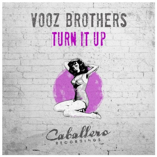 Vooz Brothers - Turn It Up (Original Mix)