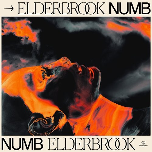 Elderbrook - Numb (Elderbrook VIP)