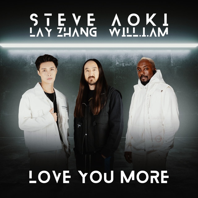 Steve Aoki - Love You More (feat. LAY & will.i.am)