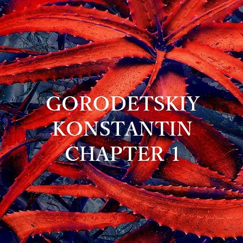 Gorodetskiy Konstantin - Chapter 1