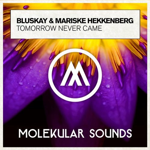 Bluskay & Mariske Hekkenberg - Tomorrow Never Came (Extended Mix)