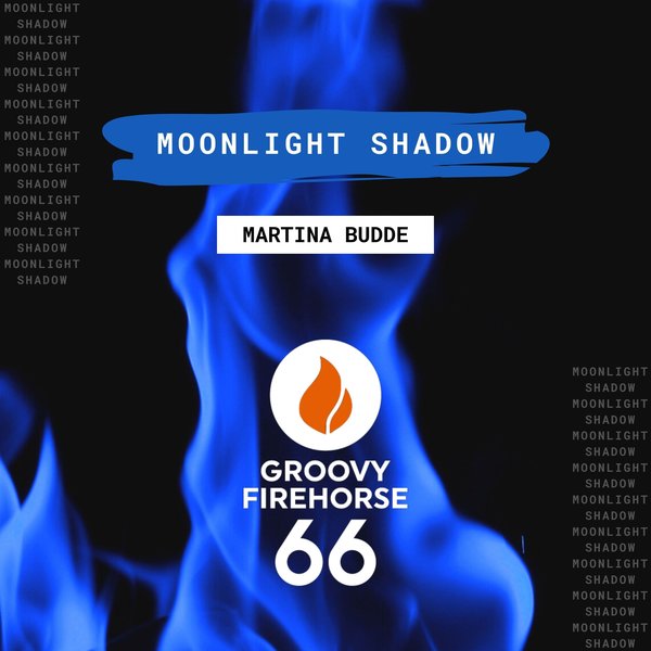 Martina Budde - Moonlight Shadow (Original Mix)