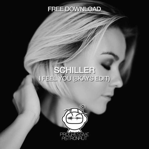 Schiller - I Feel You (8Kays Edit)