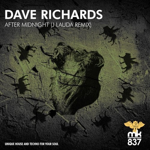 Dave Richards - After Midnight (J Lauda Remix)