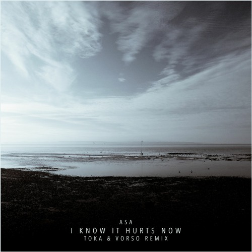 Asa - I Know It Hurts Now (Toka & Vorso Remix)