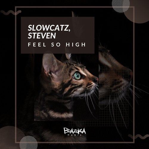 Slowcatz, Steven (BR) - Feel So High (Extended Mix)