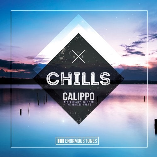 Calippo - Never Really Like You (Paige & Space Disco Remix)