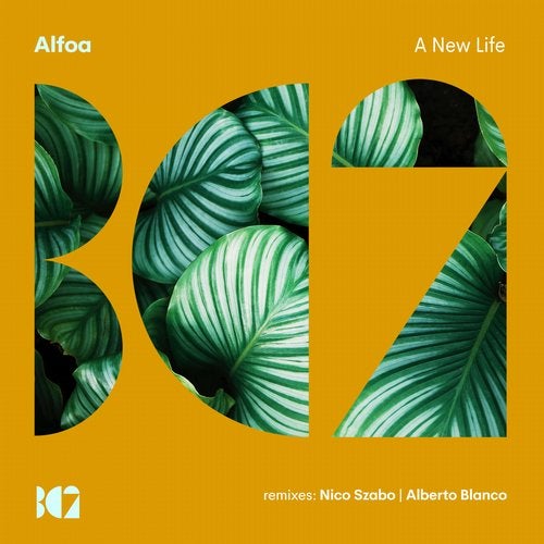 Alfoa - A New Life (Original Mix)