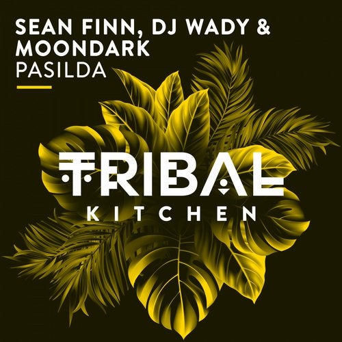 Sean Finn VS DJ Wady & MoonDark - Pasilda (Original Mix)