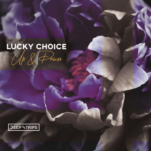 Lucky Choice - Up & Down (Original Mix)