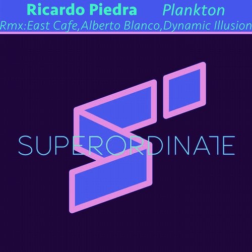 Ricardo Piedra - Plankton (Dynamic Illusion Cellular Breaks)