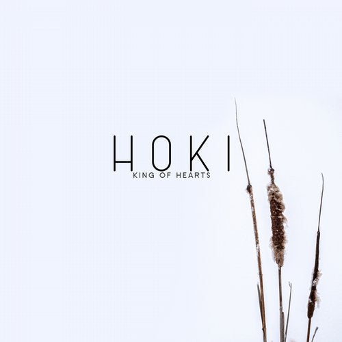 HOKI - King of Hearts (Martin Roth Remix)