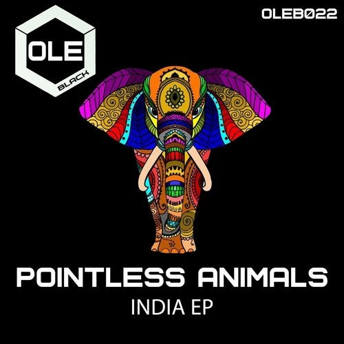 Pointless Animals - Taj (Original Mix)