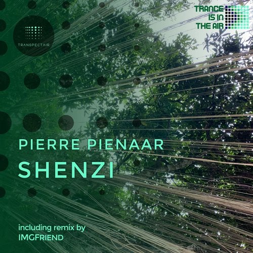 Pierre Pienaar - Shenzi (ImgFriend Remix)