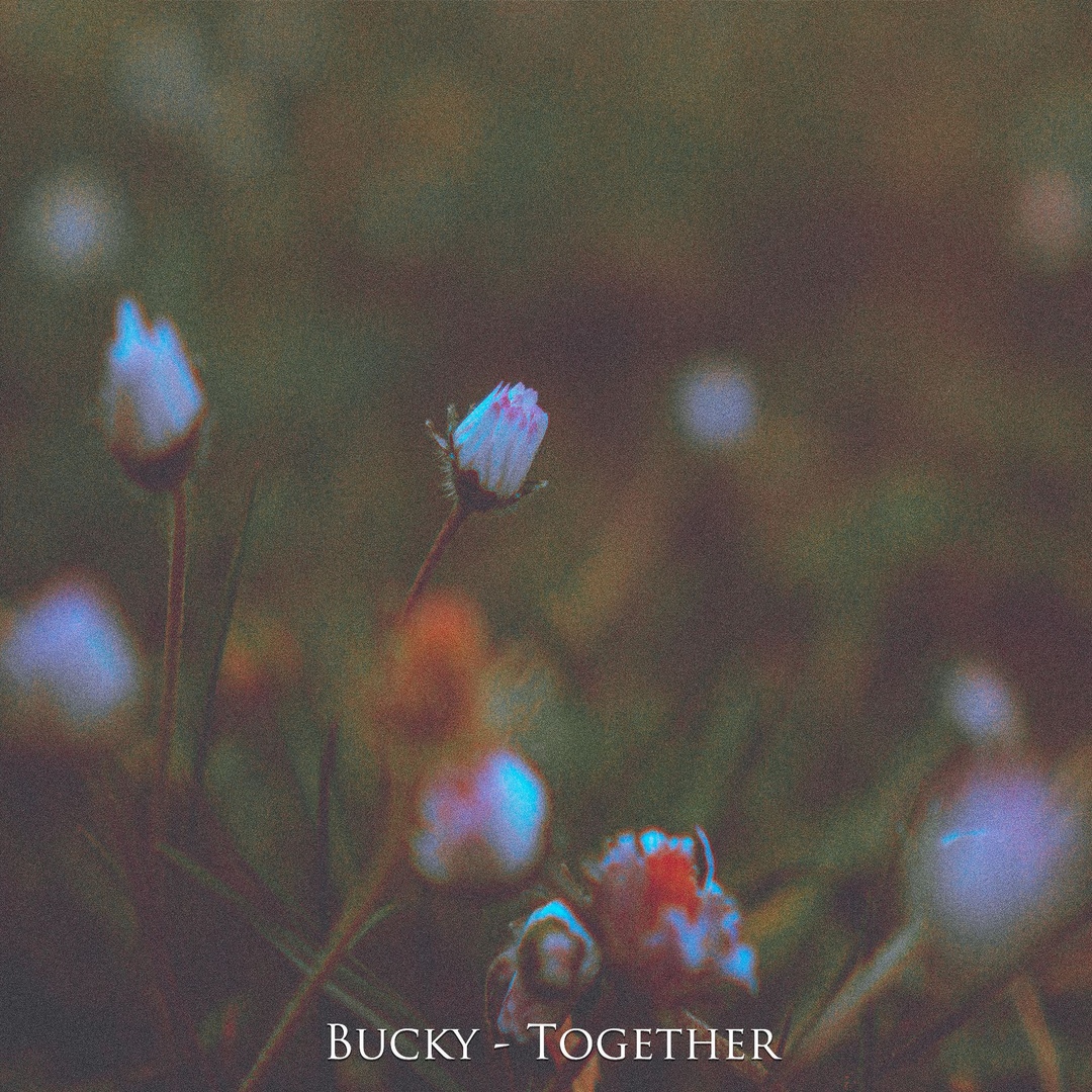 Bucky - Together