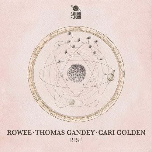 Cari Golden & Thomas Gandey, Rowee - Rise (Original Mix)