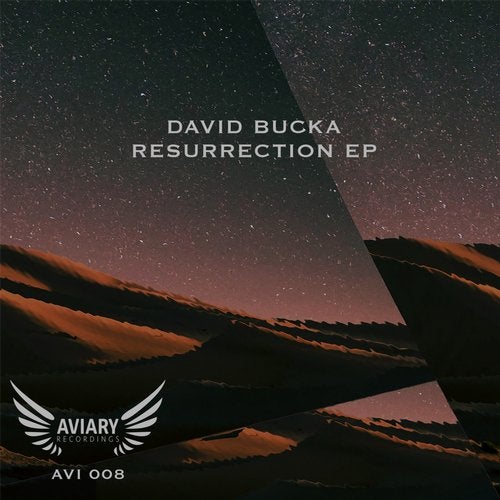 David Bucka – Extinction (Original Mix)