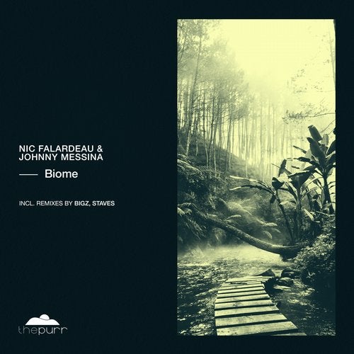 Nic Falardeau, Johnny Messina - Biome (Original Mix)