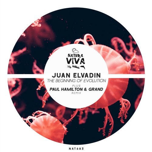 Juan Elvadin - Evolution (Original Mix)
