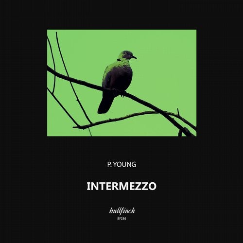 P.Young - Intermezzo (Original Mix)