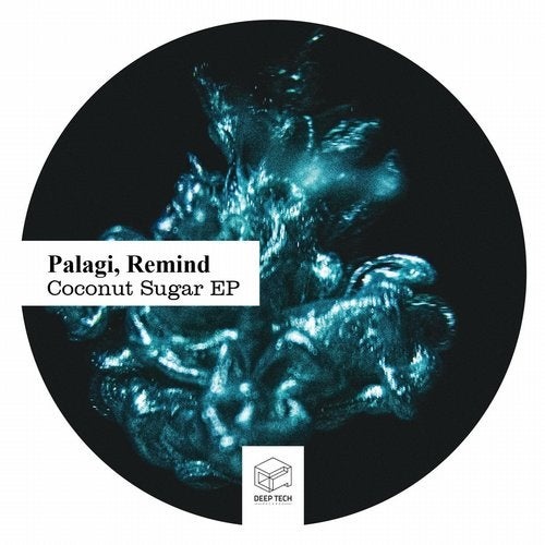 Remind, Palagi - Important Things (Original Mix)