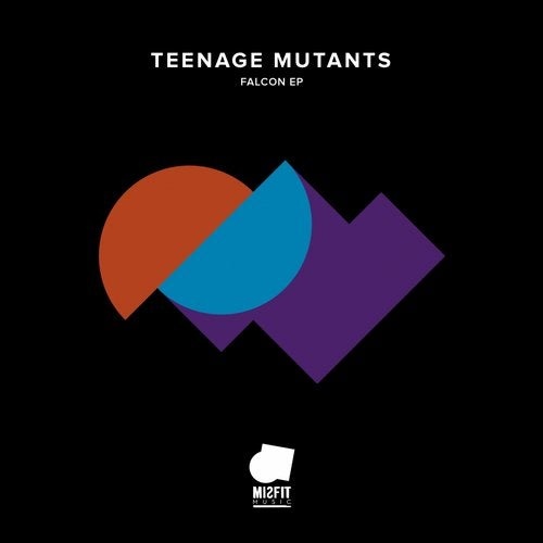 Teenage Mutants - Falcon (Original Mix)