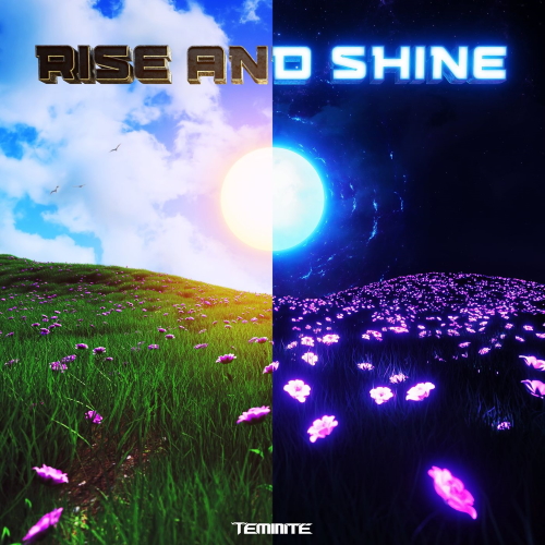 Teminite - Rise And Shine (Original Mix)