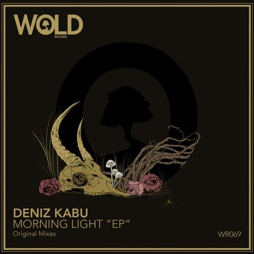 Deniz Kabu - Morning Light (Original Mix)