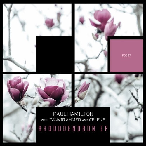 Paul Hamilton, Celene - Lost Cultures (Original Mix)