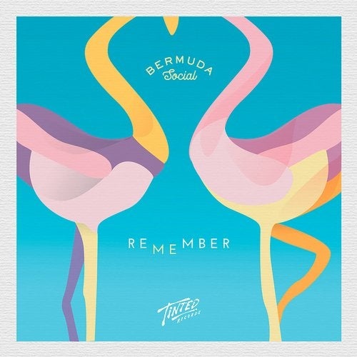 Bermuda Social - Remember Me (Extended Instrumental Mix)