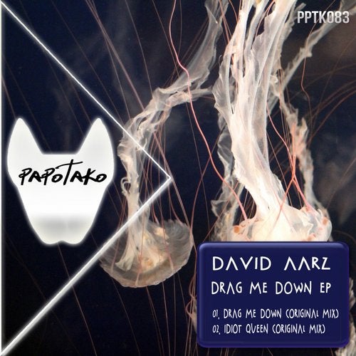 David Aarz - Idiot Queen (Original Mix)