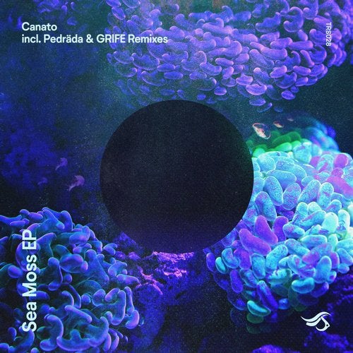 Canato - Sea Moss (Original Mix)