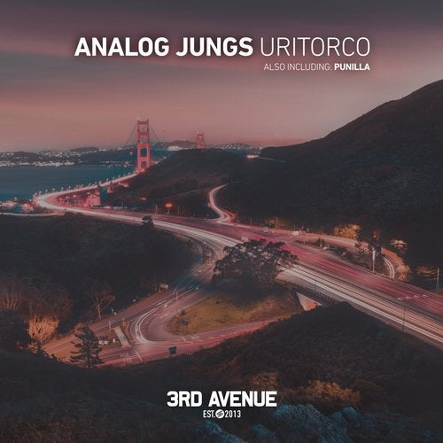 Analog Jungs - Punilla (Original Mix)