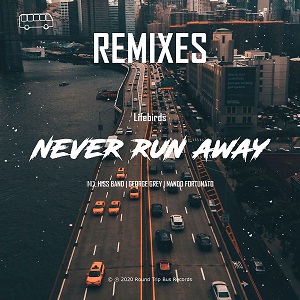 Lifebirds - Never Run Away (Nando Fortunato Remix)