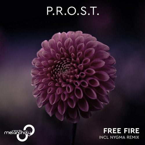 P.r.o.s.t. - Free Fire (Nygma Remix)