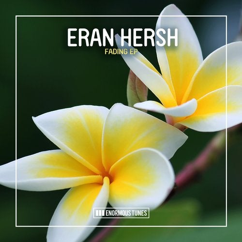 Eran Hersh - Endless Bridge (Extended Mix)