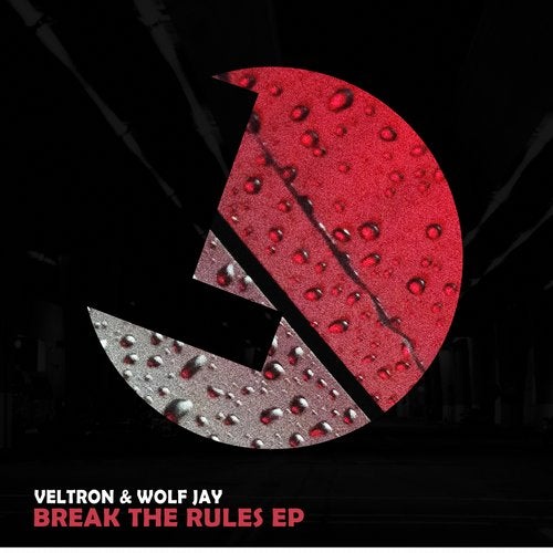 Veltron , Wolf Jay - Everbody (Original Mix)