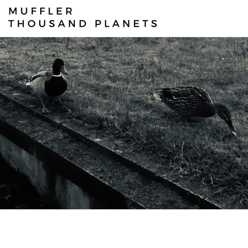 Muffler - Thousand Lakes (Original Mix)