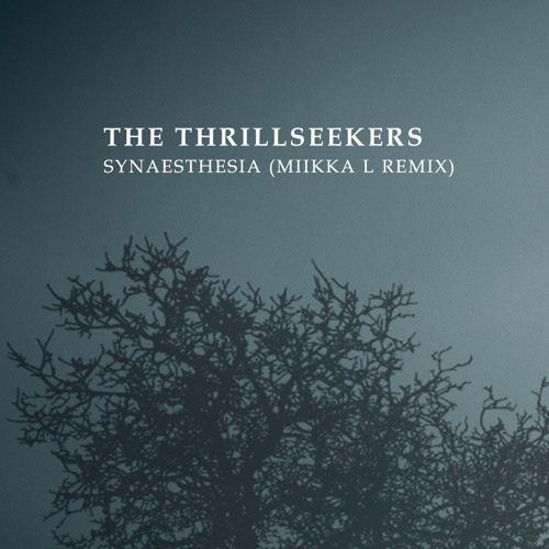 The Thrillseekers - Synaesthesia (Miikka L Remix)