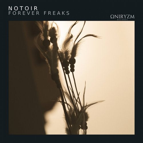 Notoir - Gravity (Original Mix)