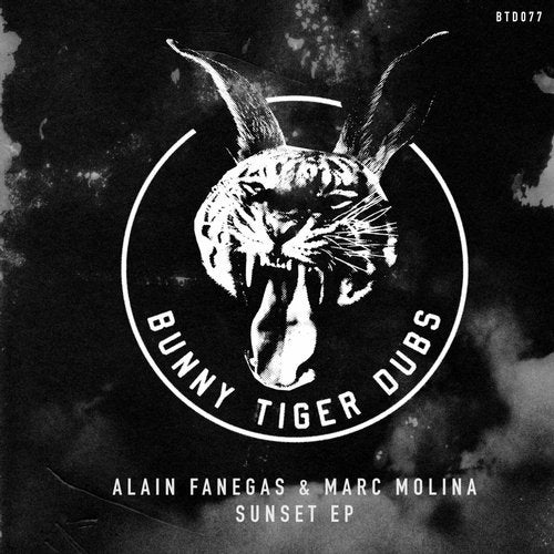 Alain Fanegas, Marc Molina - Drop The Funk (Original Mix)