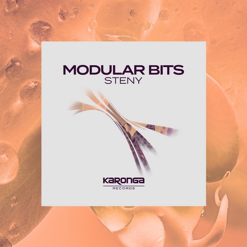 Steny - Modular Bits (Extended Club Mix)