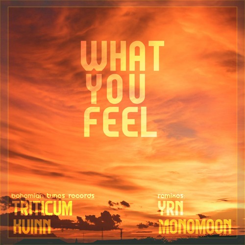 TRITICUM & KVINN - What You Feel (Original Mix)